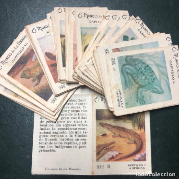 Collectable Albums: Completa, El mundo de los animales serie III reptiles y anfibios, de La Mascota