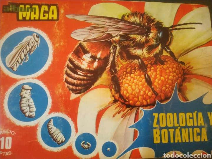 Sammeln Sammelalbum: ZOOLOGIA Y BOTANICA