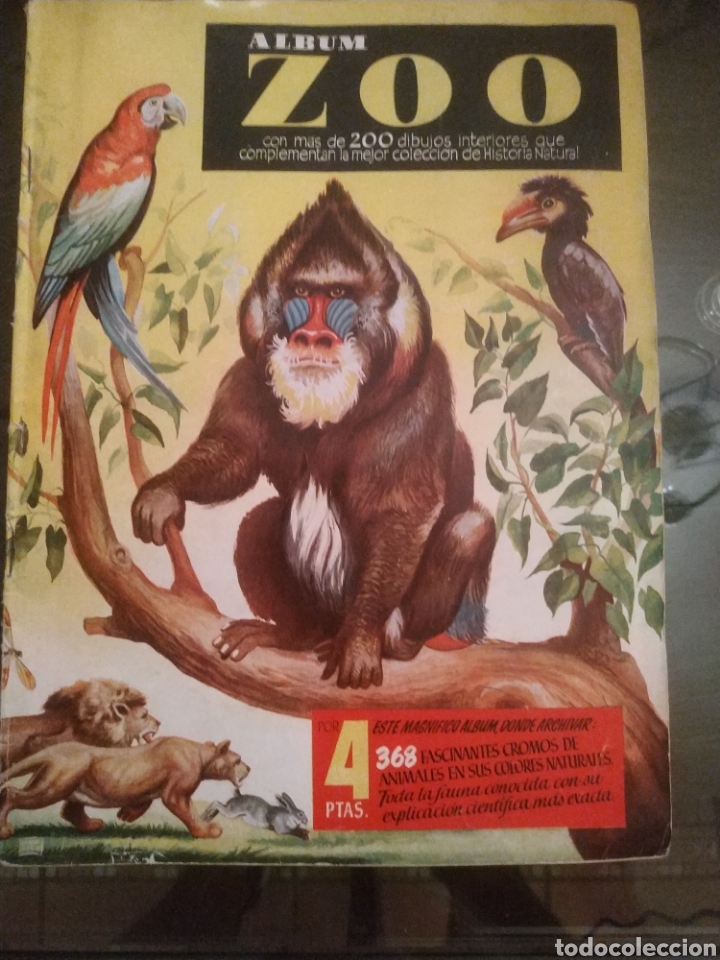 Sammeln Sammelalbum: ZOO EDITORIAL CLIPER