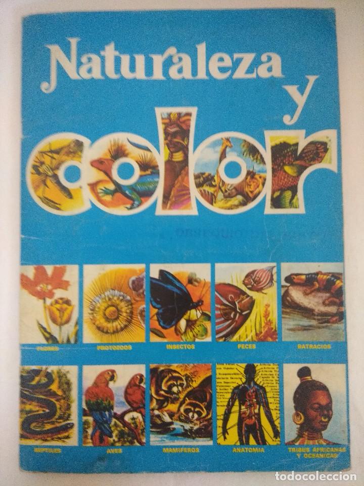 Colecionismo Caderneta: ALBUM DE CROMOS/NATURALEZA Y COLOR/INCOMPLETO-EDITORIAL CAREN.