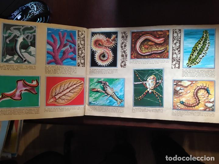 Coleccionismo &aacute;lbum: ZOOLOGIA Y BOTANICA COMPLETO - Foto 2