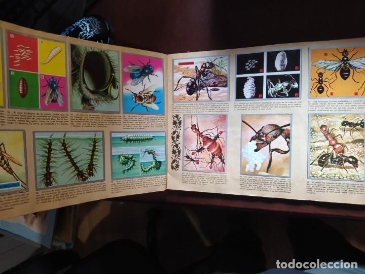 Coleccionismo &aacute;lbum: ZOOLOGIA Y BOTANICA COMPLETO - Foto 3