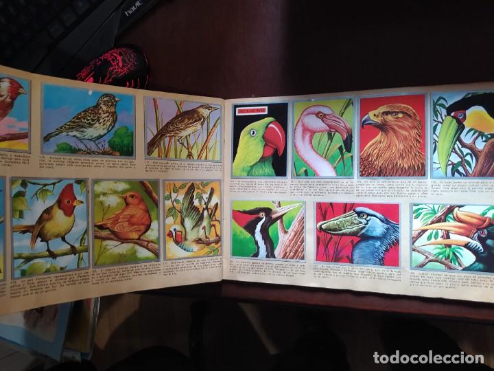 Coleccionismo &aacute;lbum: ZOOLOGIA Y BOTANICA COMPLETO - Foto 4