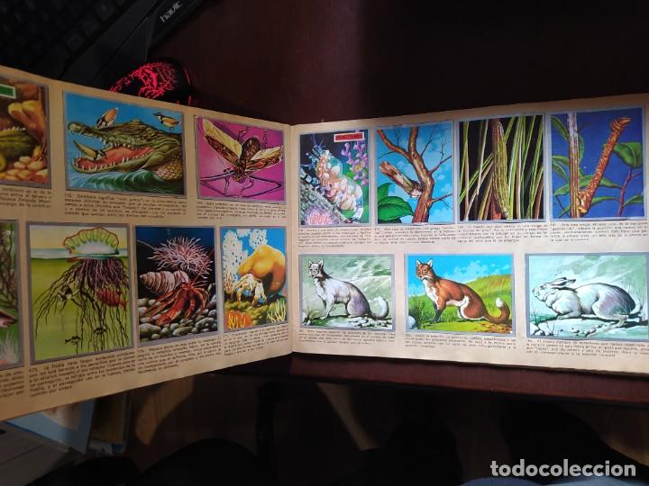 Coleccionismo &aacute;lbum: ZOOLOGIA Y BOTANICA COMPLETO - Foto 5