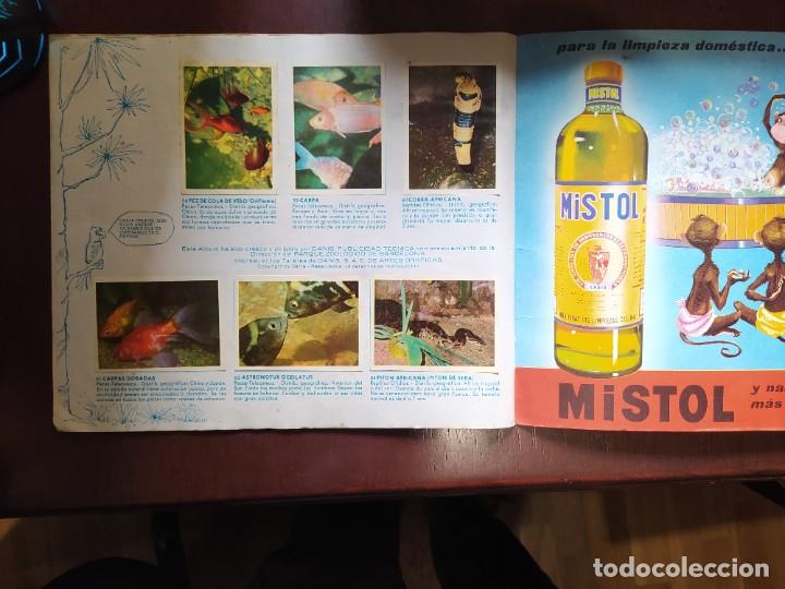 Coleccionismo &aacute;lbum: UN DIA EN EL ZOO MISTOL COMPLETO - Foto 4