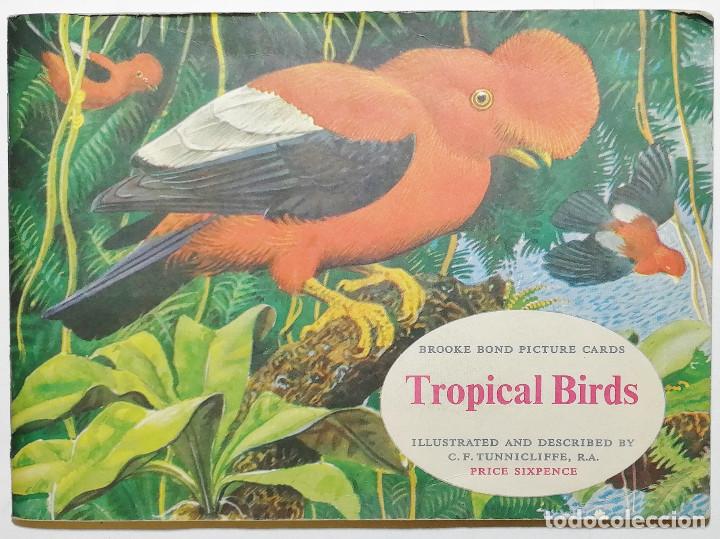 Collezionismo &Aacute;lbum: BROOK BOND PICTURE CARDS. TROPICAL BRIDS.