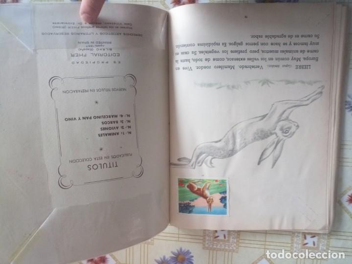 Coleccionismo &aacute;lbum: Album cromos completo animales - Foto 4