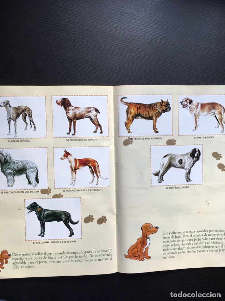 Coleccionismo &aacute;lbum: Ciudadano Can. Album de perros - Foto 2