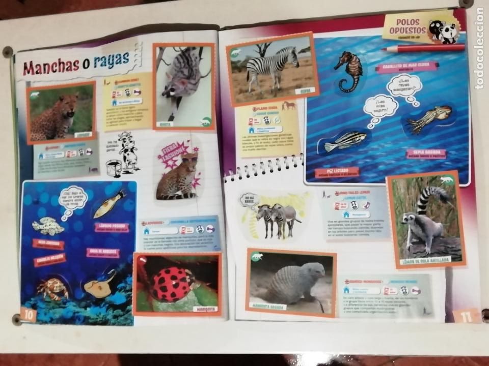 Coleccionismo &aacute;lbum: &Aacute;LBUM ANIMALES 2012. PANINI - Foto 3