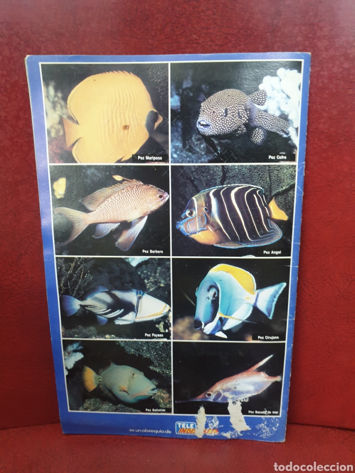 Coleccionismo &aacute;lbum: Mis amigos los peces - Foto 3