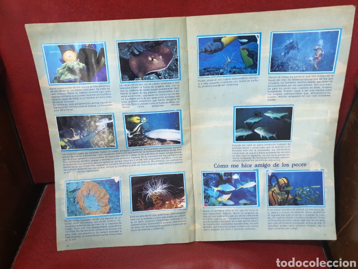 Coleccionismo &aacute;lbum: Mis amigos los peces - Foto 4