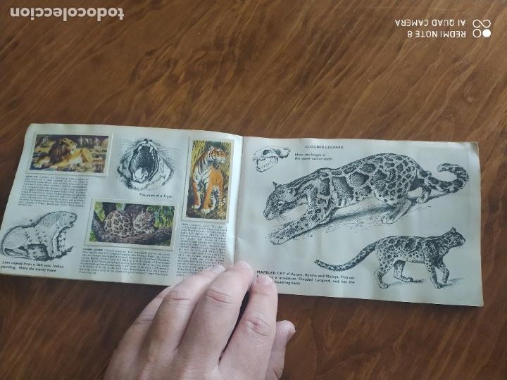 Jml Album De Cromos De Animales En Peligro De E Comprar Albumes Antiguos Completos En Todocoleccion