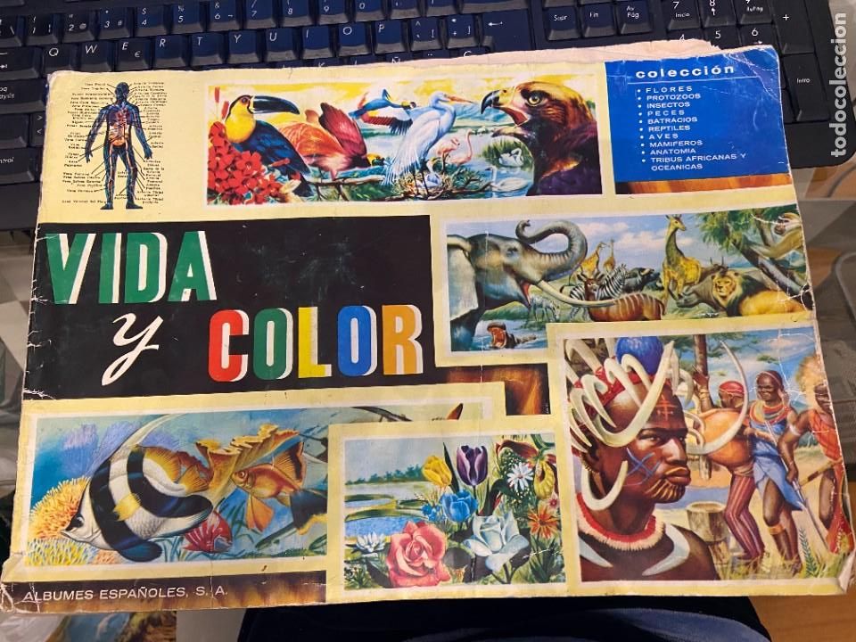 Coleccionismo &aacute;lbum: VIDA Y COLOR COMPLETO - Foto 1