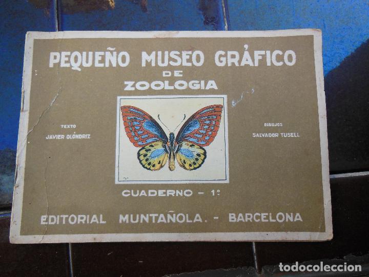 Sammeln Sammelalbum: Album completo Peque&ntilde;o Museo Gr&aacute;fico de Zoolog&iacute;a. Edit Munta&ntilde;ola , Cuaderno 1&ordm; ( Ver Fotos Adiciona)