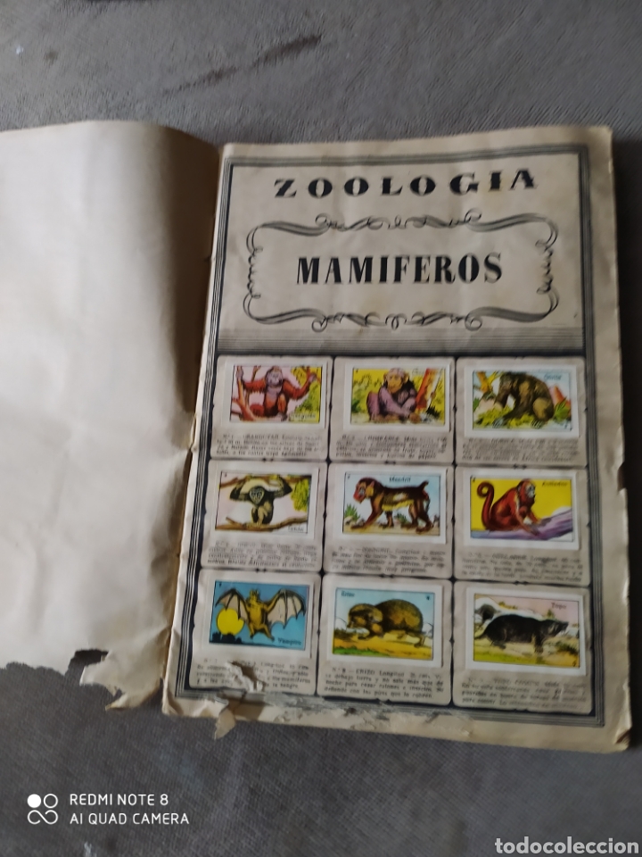 Colecionismo Caderneta: Album de Zoolog&iacute;a Completo. Numero1. 384 cromos. Sin pastas.1952
