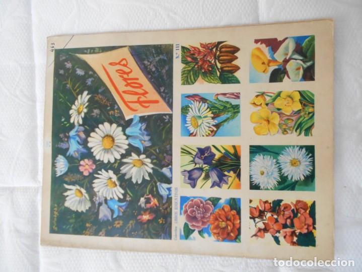 Colecionismo Caderneta: album de cromos de flores de -libros educativos-fher 1961-dificil