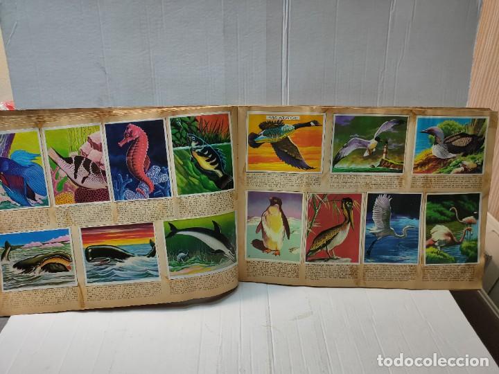 Coleccionismo Álbum: Album Completo La Naturaleza y el Hombre de Maga 1967 - Foto 9 - 264852374