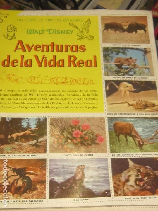 Colecionismo Caderneta: UN LIBRO DE ORO DE ESTAMPAS AVENTURAS DE LA VIDA REAL EDIT NOVARO