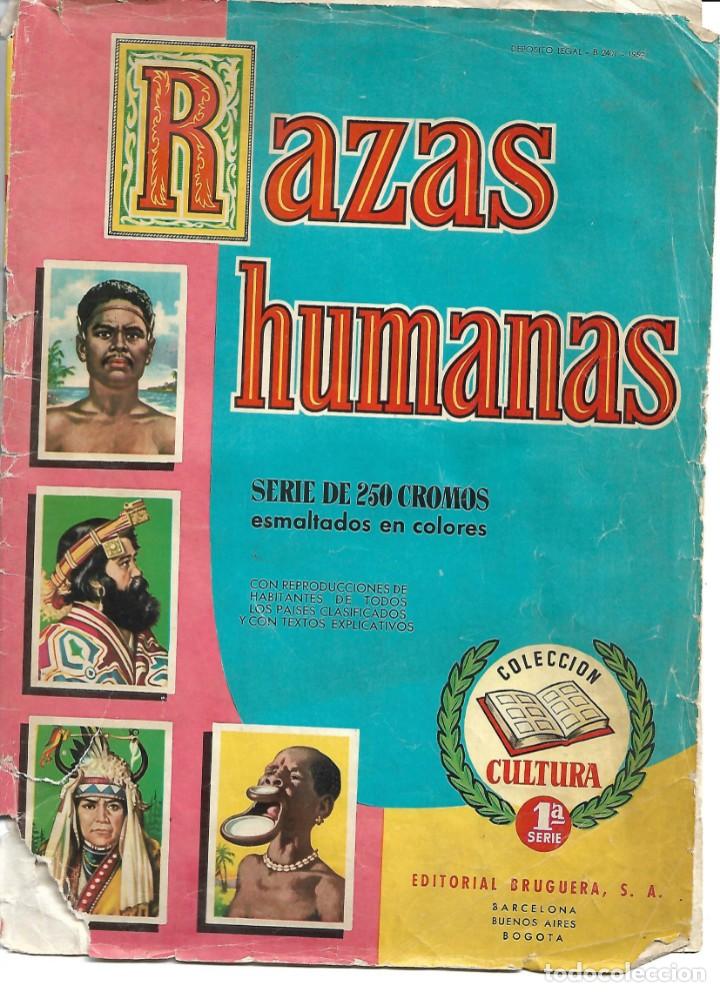 Coleccionismo &aacute;lbum: RAZAS HUMANAS (250 CROMOS) - COMPLETO - Foto 1