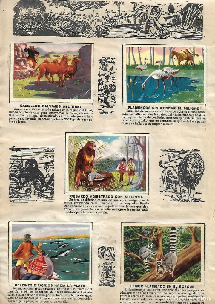 Coleccionismo &aacute;lbum: LA CAZA EN LA SELVA Y EL MAR - COMPLETO - Foto 2