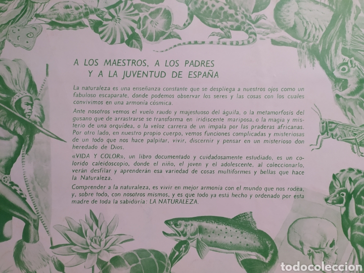 Coleccionismo &aacute;lbum: &Aacute;lbum Vida y color - Foto 3