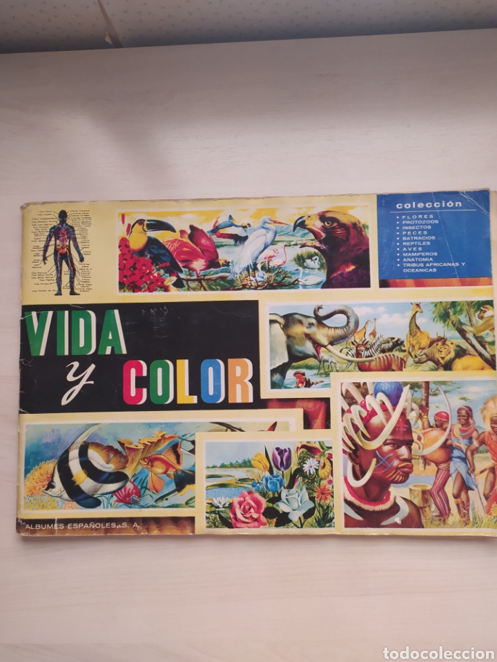 Coleccionismo &aacute;lbum: &Aacute;lbum Vida y color - Foto 4
