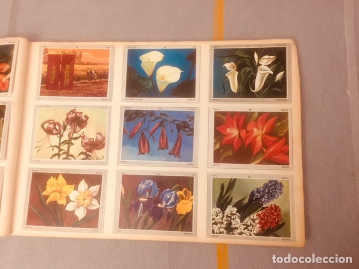 Coleccionismo &aacute;lbum: &Aacute;LBUM VIDA Y COLOR 3. - Foto 2