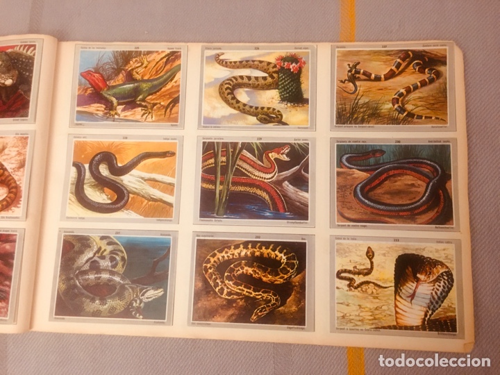Coleccionismo &aacute;lbum: &Aacute;LBUM VIDA Y COLOR 3. - Foto 3
