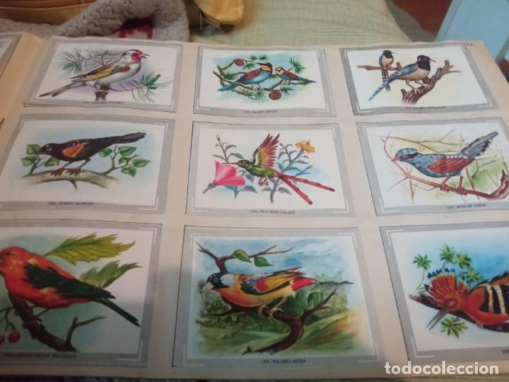 Coleccionismo &aacute;lbum: Album vida y color - Foto 2