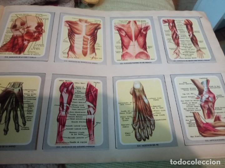 Coleccionismo &aacute;lbum: Album vida y color - Foto 3