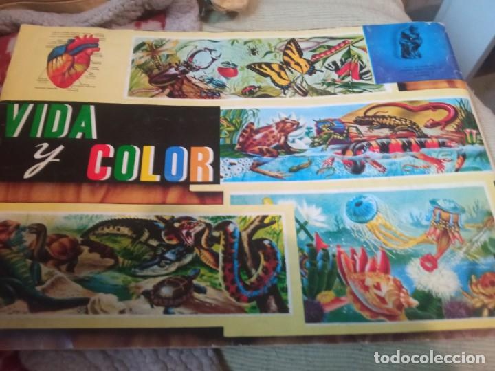 Coleccionismo &aacute;lbum: Album vida y color - Foto 4