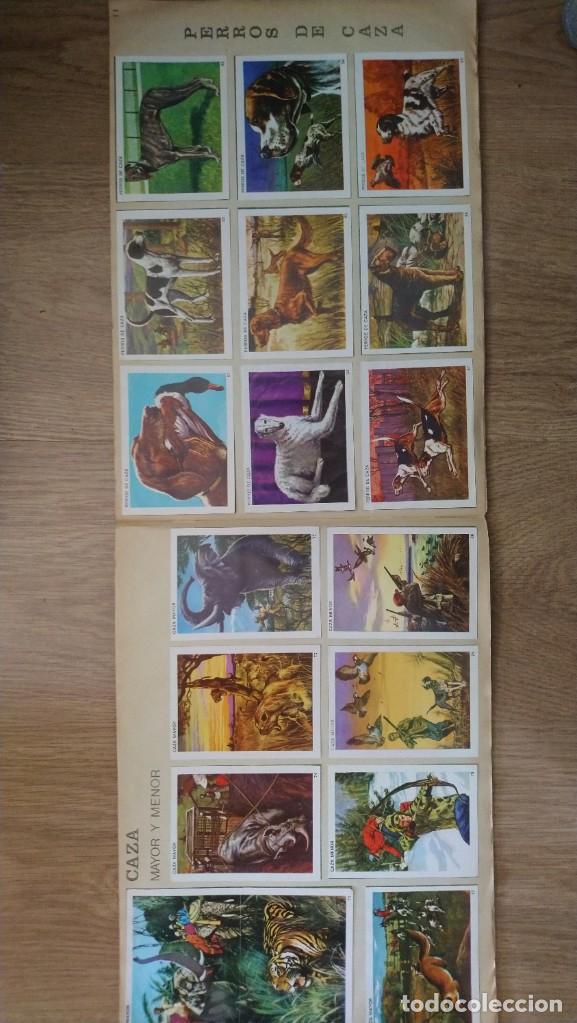Coleccionismo &aacute;lbum: contamos contigo. completo - Foto 8