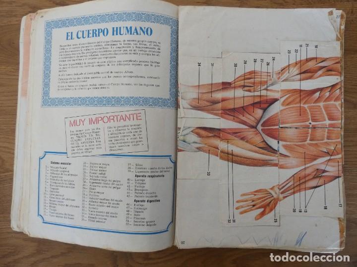 Colecionismo Caderneta: ALBUN DE CROMOS BIMBO EL PORQUE DE LAS COSAS N3