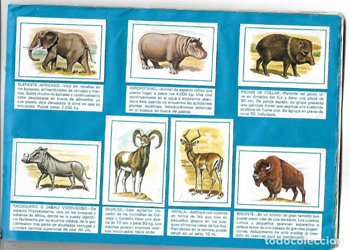 Coleccionismo &aacute;lbum: ZOO - COMPLETO - Foto 2