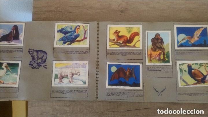 Coleccionismo &aacute;lbum: historia natural, completo - Foto 2
