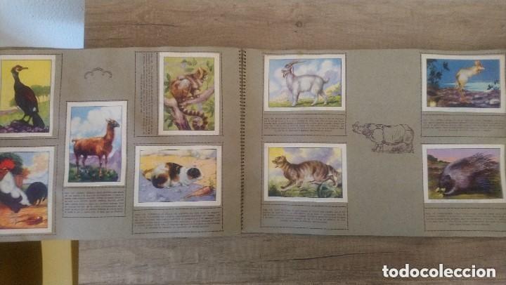 Coleccionismo &aacute;lbum: historia natural, completo - Foto 8