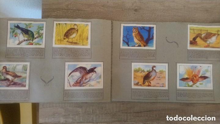 Coleccionismo &aacute;lbum: historia natural, completo - Foto 9