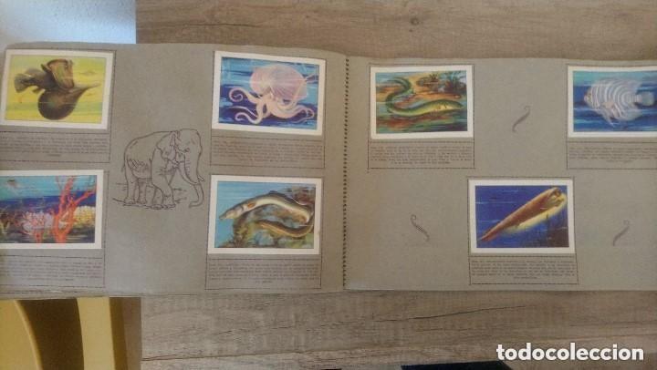 Coleccionismo &aacute;lbum: historia natural, completo - Foto 10