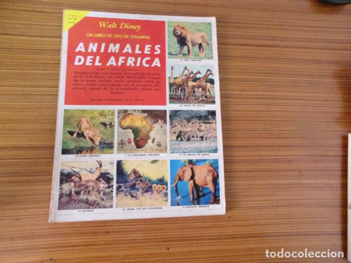 Sammeln Sammelalbum: LIBRO DE ORO DE ESTAMPAS ANIMALES DEL AFRICA N&ordm; 16 EDITA NOVARO