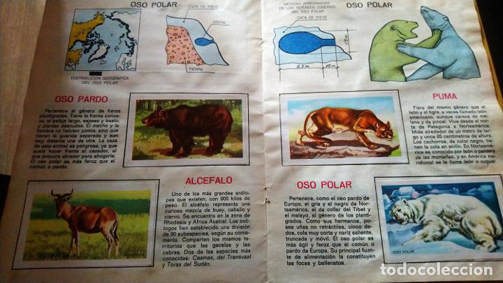 Coleccionismo &aacute;lbum: animales de la selva - Foto 3