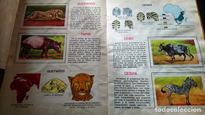 Coleccionismo &aacute;lbum: animales de la selva - Foto 4