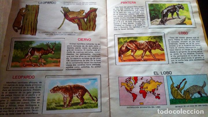 Coleccionismo &aacute;lbum: animales de la selva - Foto 6