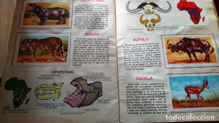 Coleccionismo &aacute;lbum: animales de la selva - Foto 7