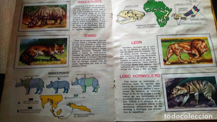 Coleccionismo &aacute;lbum: animales de la selva - Foto 8