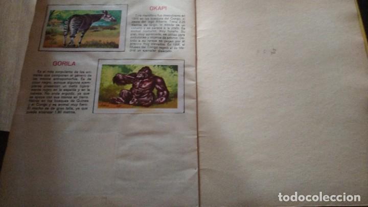 Coleccionismo &aacute;lbum: animales de la selva - Foto 9