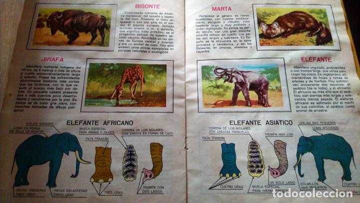 Coleccionismo &aacute;lbum: animales de la selva - Foto 10