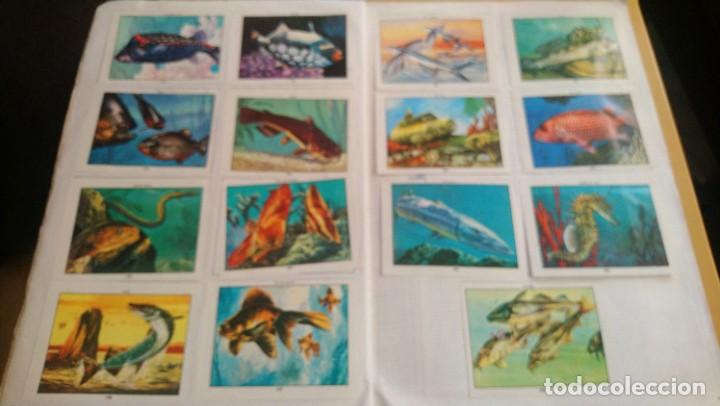 Coleccionismo &aacute;lbum: ciencias naturales 1 - Foto 2