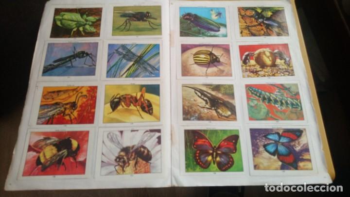 Coleccionismo &aacute;lbum: ciencias naturales 1 - Foto 5