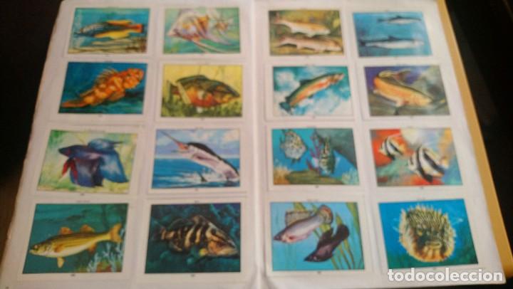 Coleccionismo &aacute;lbum: ciencias naturales 1 - Foto 6