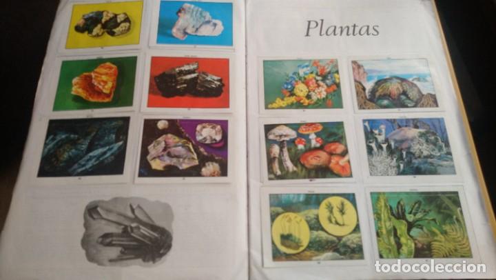 Coleccionismo &aacute;lbum: ciencias naturales 1 - Foto 7